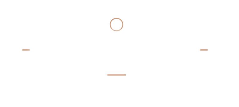 The Travelin' Guy